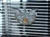 61br8.jpg (35860 octets)